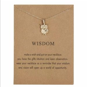 FIRM💰 Gold Owl 🦉 “Wisdom” Necklace - NEW
